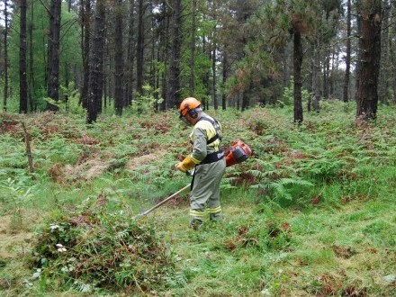La Xunta concede permisos para quemas